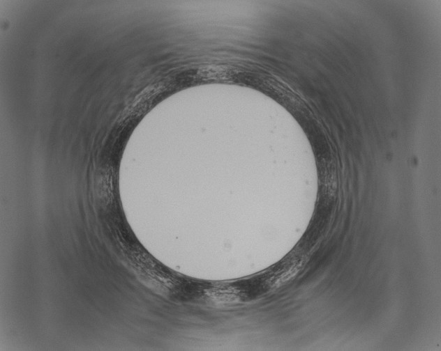 X0000067870603200605111801