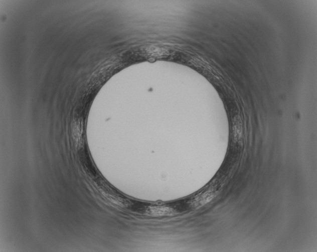 X0000067870605200605111801