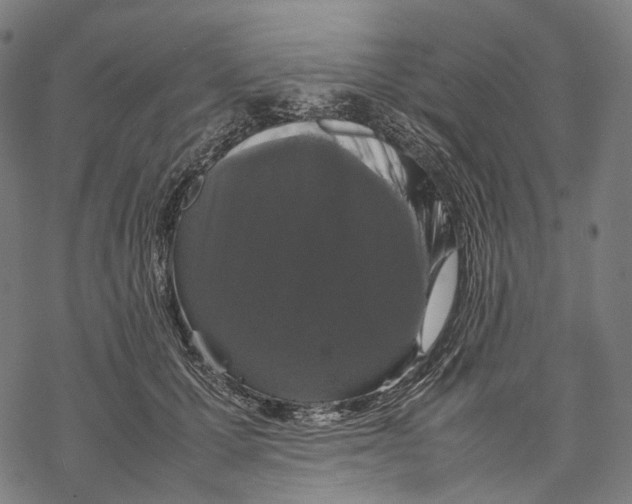 X0000067870607200605111801