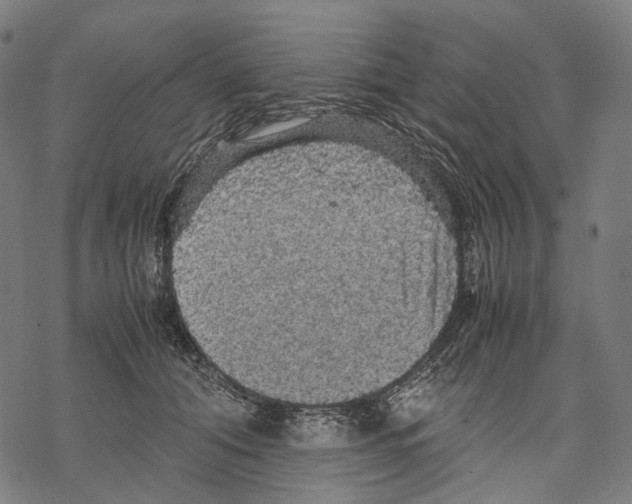 X0000067870608200605111801