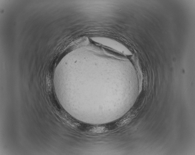 X0000067870609200605111801