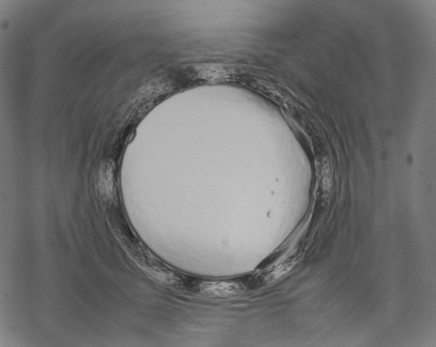 X0000067870611200605111801