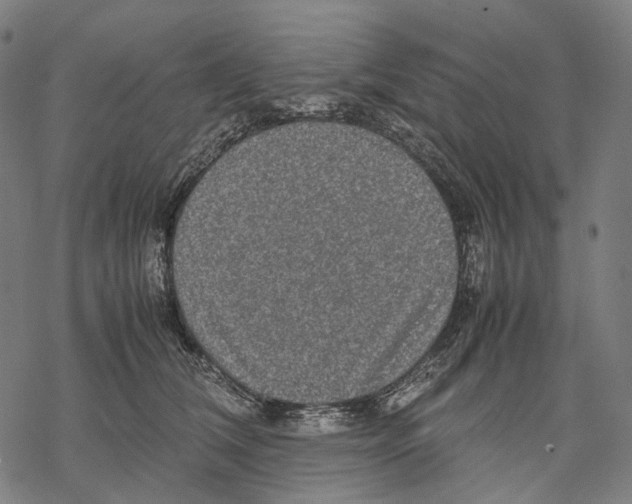 X0000067870612200605111801