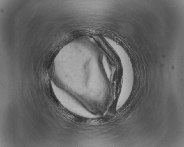 X0000067870613200605111801