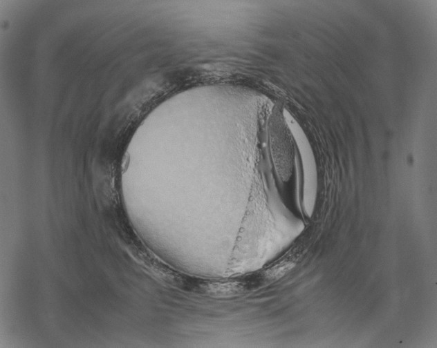 X0000067870615200605111801