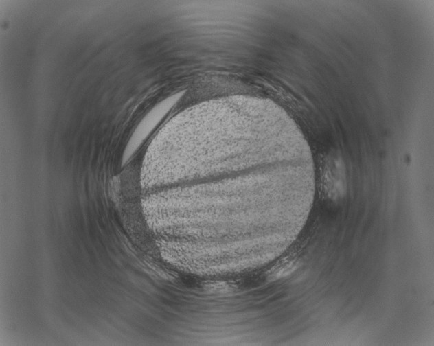 X0000067870616200605111801