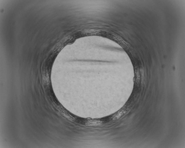 X0000067870617200605111801