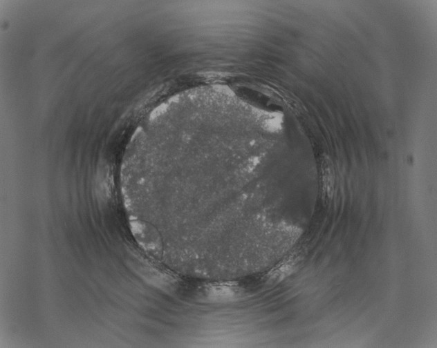 X0000067870618200605111801