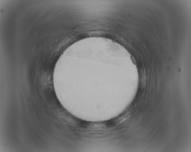 X0000067870619200605111801