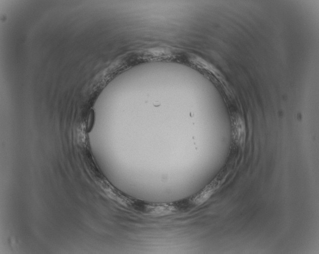 X0000067870621200605111801