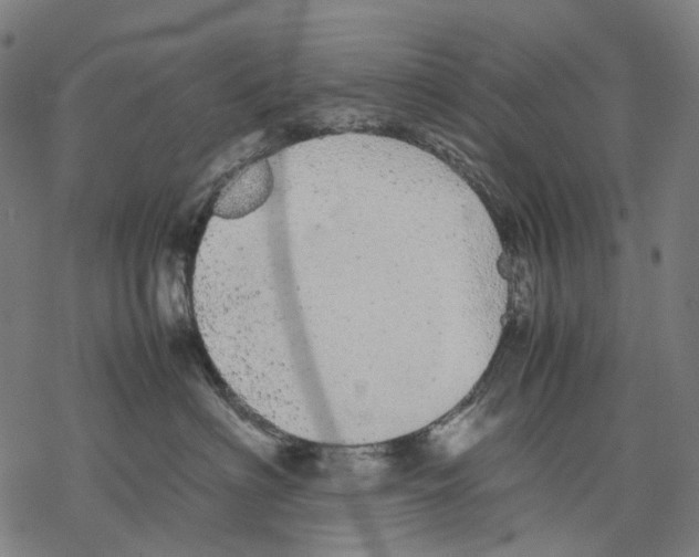 X0000067870622200605111801