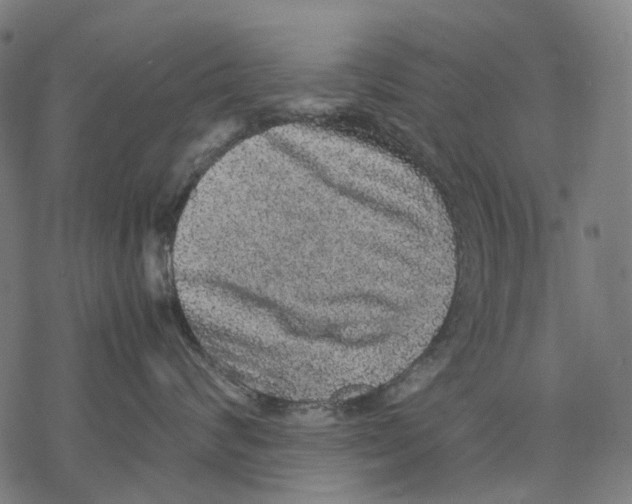 X0000067870624200605111801