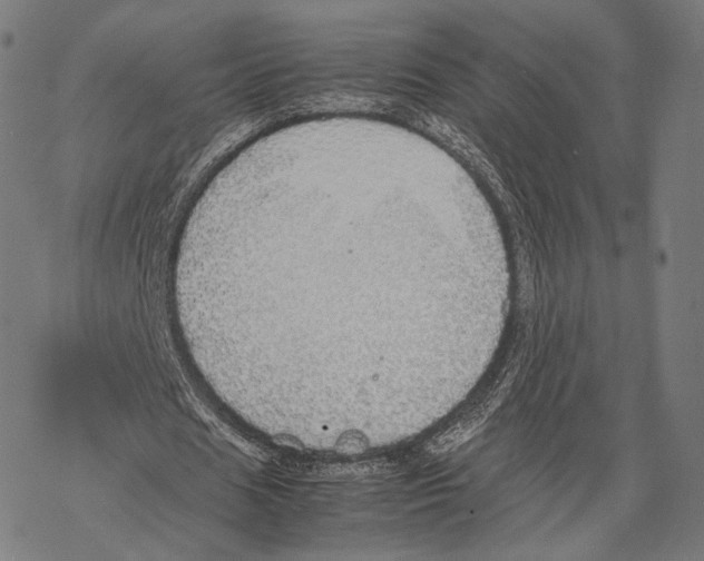 X0000067870625200605111800