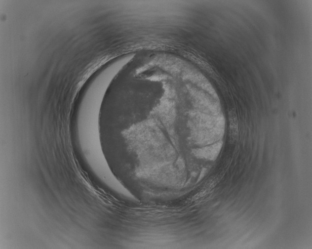 X0000067870626200605111800