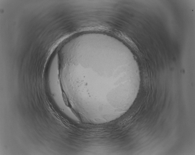 X0000067870628200605111800