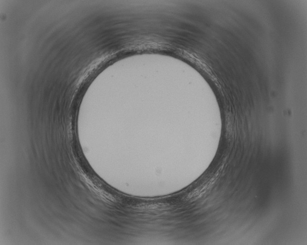 X0000067870629200605111800