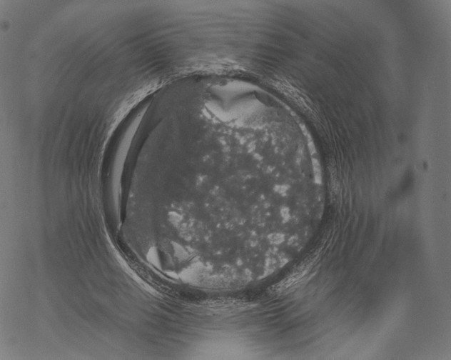 X0000067870630200605111800