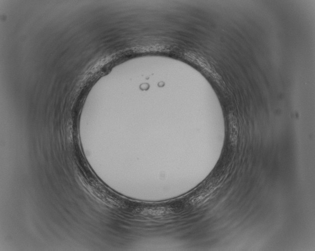 X0000067870631200605111800