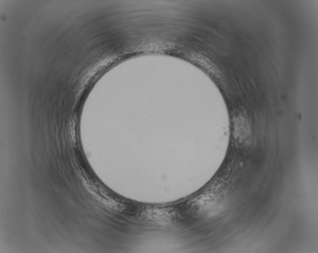 X0000067870632200605111800