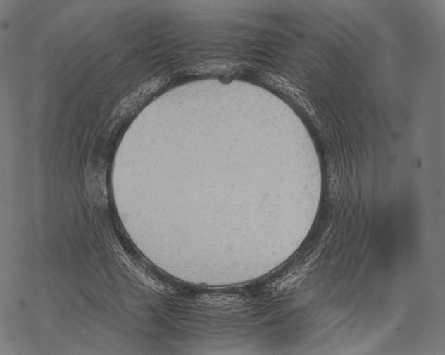 X0000067870633200605111800