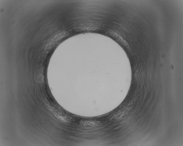 X0000067870635200605111800