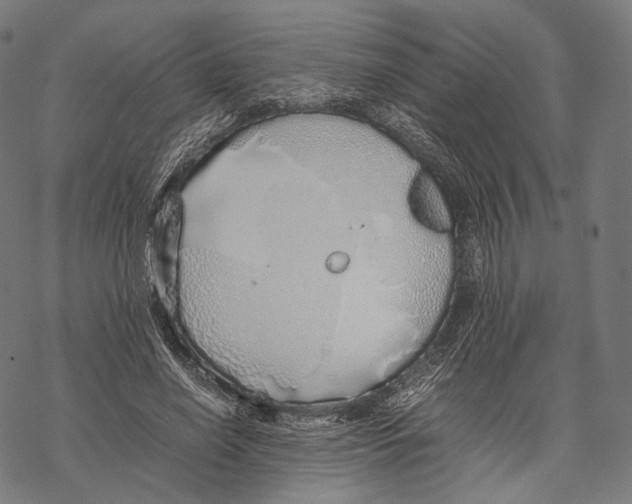 X0000067870638200605111800