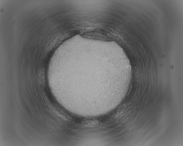 X0000067870642200605111800