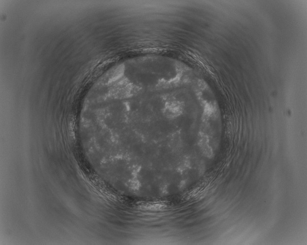 X0000067870643200605111800