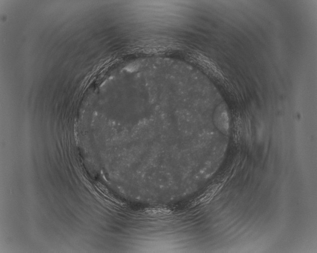 X0000067870644200605111800