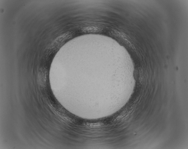 X0000067870645200605111800