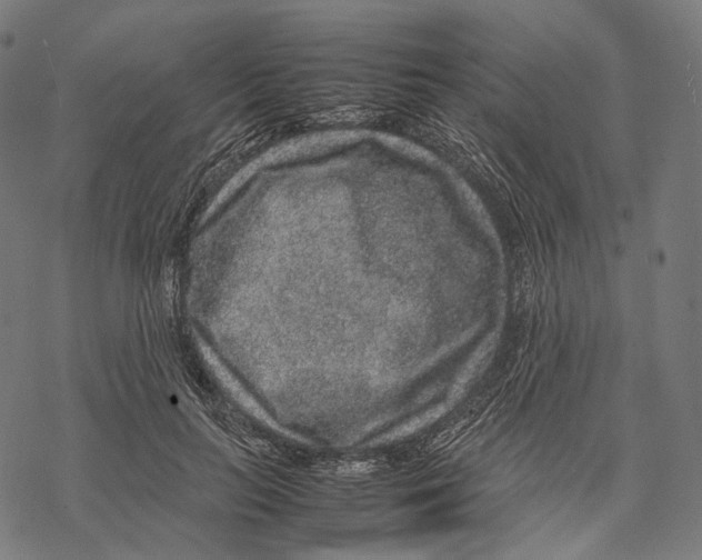 X0000067870647200605111800