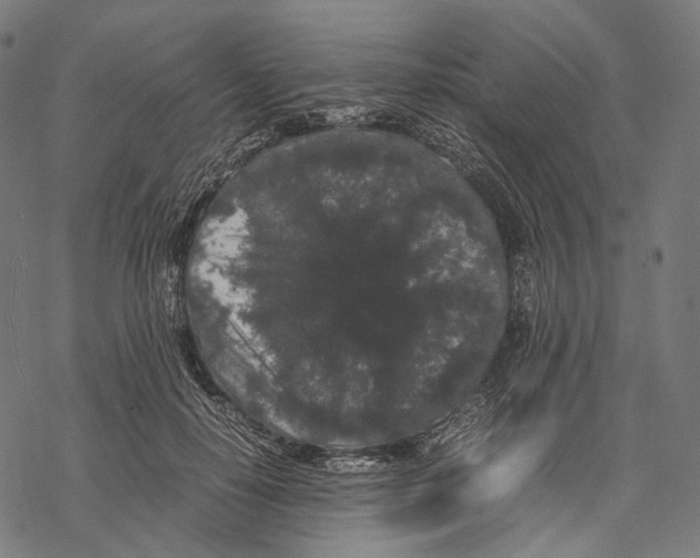 X0000067870650200605111800