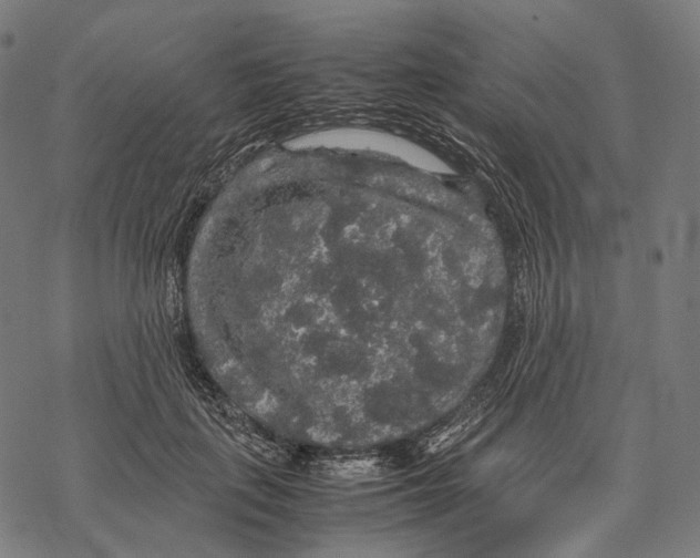 X0000067870651200605111800