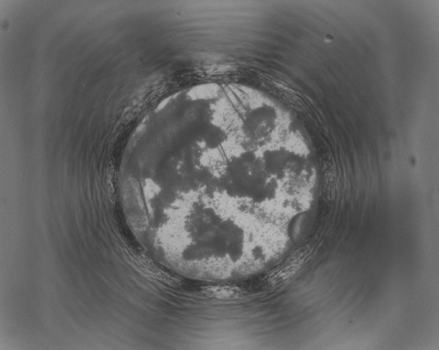 X0000067870654200605111801