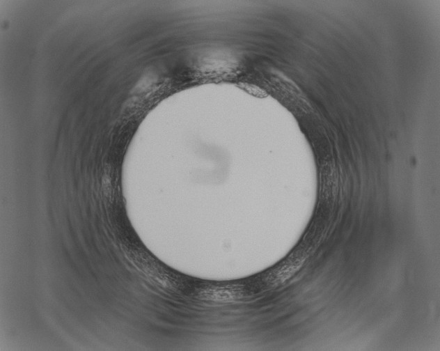 X0000067870655200605111801