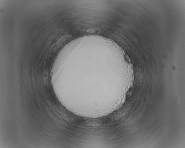 X0000067870656200605111801