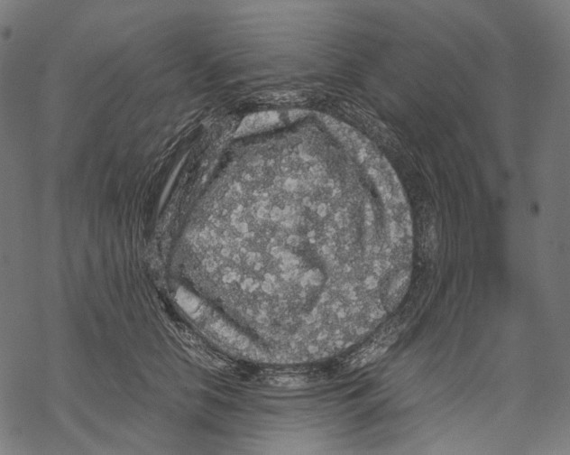 X0000067870658200605111801