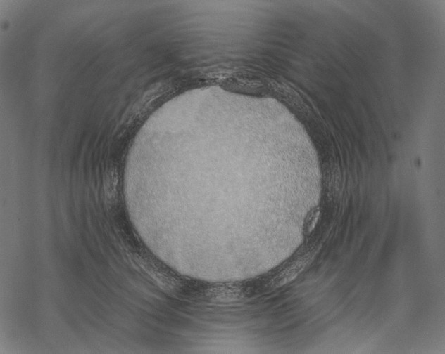 X0000067870660200605111801