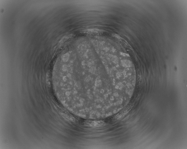 X0000067870663200605111801