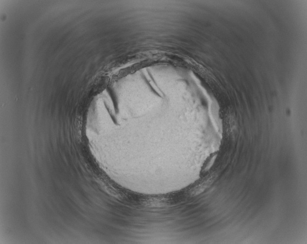 X0000067870664200605111801