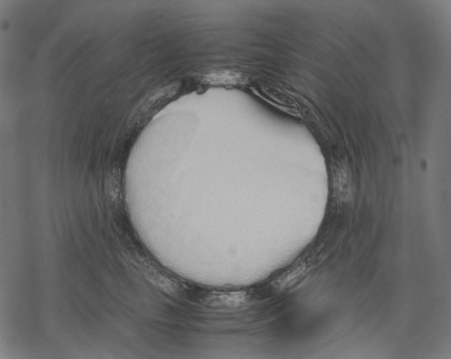 X0000067870665200605111801