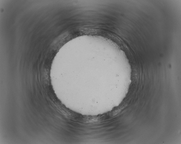 X0000067870667200605111801