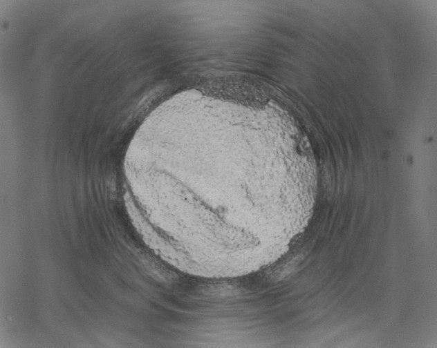 X0000067870668200605111801