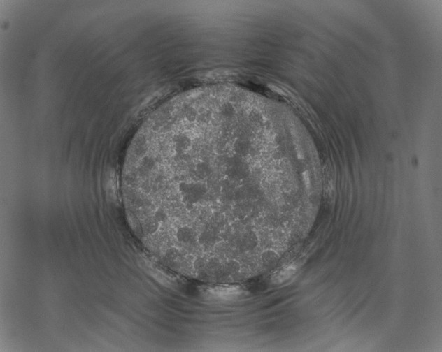 X0000067870669200605111801