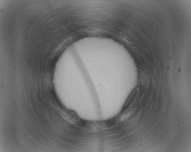 X0000067870670200605111801