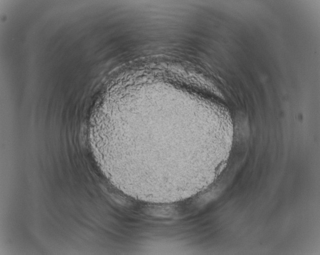 X0000067870671200605111801