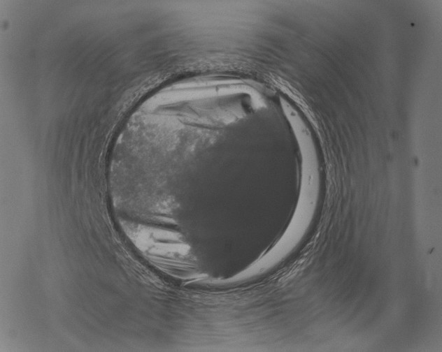 X0000067870673200605111800