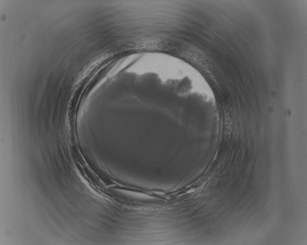 X0000067870674200605111800