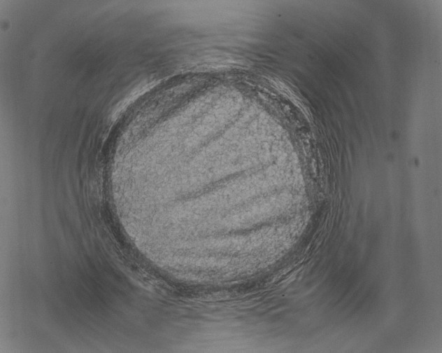 X0000067870675200605111800