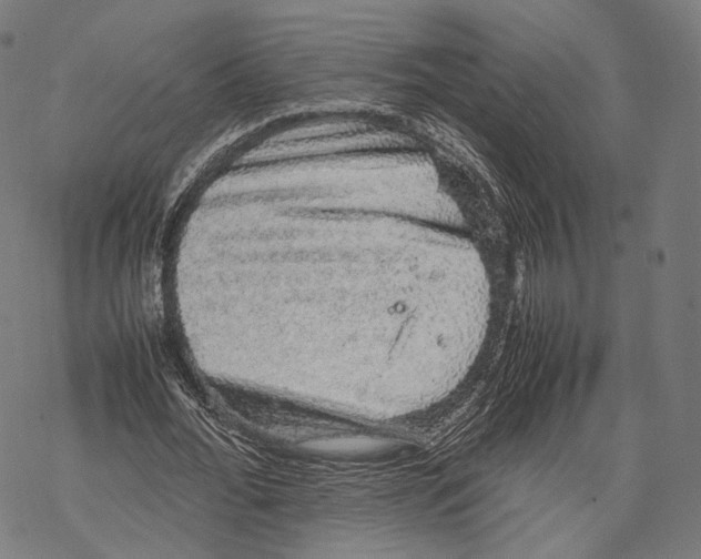 X0000067870676200605111800